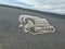 2027 RAM 2500 Black Express